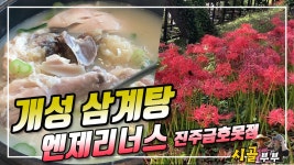귀농귀촌 시골부부 (개성 삼계탕) 엔제리너스 (진주금호못점) 2023-09-24 (일) - kakaoTV 귀농귀촌 시골부부 (개성 삼계탕) 엔제리너스... 