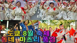 8월 도쿄 축제 날씨, 동네 마츠리 풍경 - kakaoTV 8월 도쿄 축제 날씨,  동네 마츠리 풍경 