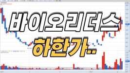 바이오리더스 하한가.. │ 매매전략 (바이오리더스) - kakaoTV 바이오리더스 하한가.. │ 매매전략 (바이오리더스)