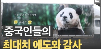 강철원 사육사 모친상에도 푸바오와 중국행 [박지환의 뉴스톡] - kakaoTV 강철원 사육사 모친상에도 푸바오와 중국행 [박지환의 뉴스톡]