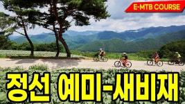 때묻지 않은 원시림 같은 임도 라이딩 정선 예미-새비재 MTB코스 - kakaoTV 때묻지 않은 원시림 같은 임도 라이딩 정선 예미-새비재 MTB코스