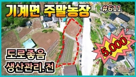 #611 도로좋은 주말농장.전원주택지-_@강산부동산TV - kakaoTV #611 도로좋은 주말농장.전원주택지-_@강산부동산TV