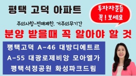 평택고덕 A-46대방디에트르, A-55 대광로제비앙 모아엘가 아파트 청약시 꼭 알고 청약하세요. 전매제한, - kakaoTV 평택고덕 A-46대방디에트르... 