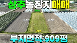 NO:1-1223번#성주군땅#성주땅#성주군부동산#성주부동산#성주군가천면창천리귀농지매매#성주군가천면창천리귀농토 - kakaoTV NO:1-1223번... 