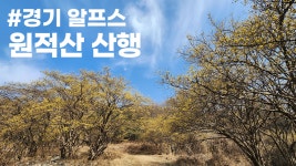 경기 알프스! 원적산 산행 포인트 ㅣ 산수유 둘레길 - kakaoTV 경기 알프스! 원적산 산행 포인트 ㅣ 산수유 둘레길
