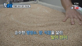 특별한 발아 현미 제조법 - kakaoTV 특별한 발아 현미 제조법