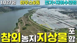 칠곡군왜관읍금남리참외 - kakaoTV NO:1-1393번#칠곡군땅#칠곡땅... 칠곡부동산#칠곡군왜관읍금산리참외농지매매#칠곡군왜관읍금남리참외