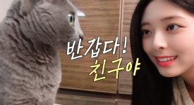 [ITZY(있지) VLOG] YUNAs Holiday - kakaoTV [ITZY(있지) VLOG] YUNAs Holiday