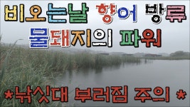 마정낚시터 9월 26일 향어 방류 - kakaoTV 마정낚시터 9월 26일 향어 방류