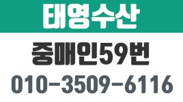 죽도시장수산물,죽도시장중매인59번,포항수산물판매,태영수산 - kakaoTV 죽도시장수산물,죽도시장중매인59번,포항수산물판매,태영수산