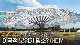 120년 만에 만나는 용산공원, 120% 즐기기! - kakaoTV 120년 만에 만나는 용산공원, 120% 즐기기!