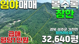 NO:1-1256번#성주군땅#성주땅#성주군부동산#성주부동산#성주군가천면창천리귀농귀촌임야매매#성주군가천면창천리 - kakaoTV NO:1-1256번... 