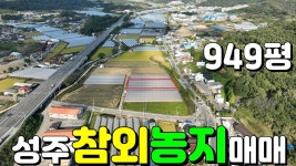 NO:1-1433번#성주군땅#성주땅#성주군부동산#성주부동산#성주군월항면안포리참외농지매매#성주군월항면안포리참외 - kakaoTV NO:1-1433번... 