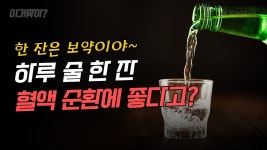 하루 술 한 잔, 혈액 순환에 좋다고? [이거맞아?] - kakaoTV 하루 술 한 잔, 혈액 순환에 좋다고? [이거맞아?]