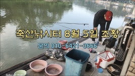 죽산낚시터 8월 5일 조황 - kakaoTV 죽산낚시터 8월 5일 조황