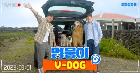 <멍뭉이> V-DOG - kakaoTV <멍뭉이> V-DOG