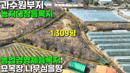 NO:1-1511번#성주군땅#성주땅#성주군부동산#성주부동산#성주군성주읍금산리농지매매#성주군성주읍금산리농경지매 - kakaoTV NO:1-1511번... 