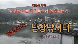 남창낚시터 8월 13일 조황 - kakaoTV 남창낚시터 8월 13일 조황