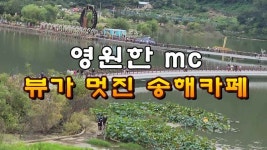 영원한 MC 뷰가 멋진 송해 카페 - kakaoTV 영원한 MC 뷰가 멋진 송해 카페