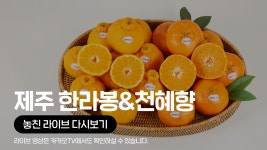 한담농수산 | [카카오쇼핑라이브B] SK스토아 X 한라봉&천혜향 - kakaoTV [카카오쇼핑라이브B] SK스토아 X 한라봉&천혜향