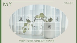 세종시 보람동 호려울4단지이지더원 센트럴파크 43평 슬세권 살기좋은 아파트입니다. - kakaoTV 세종시 보람동 호려울4단지이지더원...