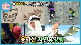 🍃용화산 자연휴양림🍀국내유일 산림 레포츠 시설🤸🏻♀ 아이와... - kakaoTV 🍃용화산 자연휴양림🍀국내유일 산림 레포츠 시설🤸... 