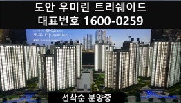 도안우미린트리쉐이드 1600-0259 - kakaoTV 도안우미린트리쉐이드 1600-0259