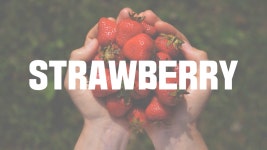 미래와 희망이 있는 SMART 농업 보령! 딸기편🍓 - kakaoTV 미래와 희망이 있는 SMART 농업 보령! 딸기편🍓