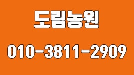 도림농원,음성복숭아,음성햇사레복숭아,음성복숭아농장 - kakaoTV 도림농원,음성복숭아,음성햇사레복숭아,음성복숭아농장