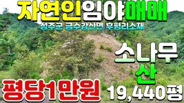 NO:1-1274번#성주군땅#성주땅#성주군부동산#성주부동산#성주군금수강산면후평리산골자연인임야매매#성주군금수강 - kakaoTV NO:1-1274번... 