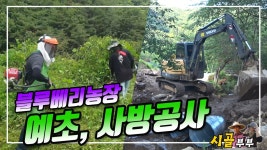 귀농귀촌 시골부부 (블루베리농장) 예초작업 및 사방공사 2023 06 06 (화) - kakaoTV 귀농귀촌 시골부부 (블루베리농장) 예초작업 및... 