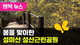 봄기운 가득한! 성산근린공원 / 행복뉴스 (25. 04. 14.) - kakaoTV 봄기운 가득한! 성산근린공원 / 행복뉴스 (25. 04. 14.)