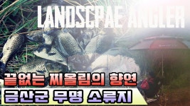 [풍낚] 붕어낚시 소류지의 끝없는 찌올림 - kakaoTV [풍낚] 붕어낚시 소류지의 끝없는 찌올림