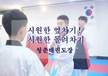 돌려차기!(서울/광진구/동대문구/은평구) - kakaoTV 청춘태권도 성인들의 시원한 옆차기! 돌려차기!(서울/광진구/동대문구/은평구)