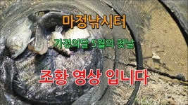 마정낚시터 5월 1일 조황 - kakaoTV 마정낚시터 5월 1일 조황