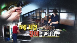 [황금나침반] 6월 제철의 맛! 장어 - kakaoTV [황금나침반] 6월 제철의 맛! 장어