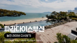 [카카오쇼핑라이브 B] 인터파크: 파라다이스 호텔 부산 - kakaoTV [카카오쇼핑라이브 B] 인터파크: 파라다이스 호텔 부산
