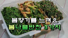 봄향기를 식탁에서 느껴요, 봄나물 반찬 3가지 - kakaoTV 봄향기를 식탁에서 느껴요, 봄나물 반찬 3가지