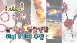 할 수 있다[어른이의 취미생활] - kakaoTV 집순이 취미 추천 | 누구나 금손이 될 수 있는 취미생활 소개 | 곰손도 할 수 있다[어른이의 취미생활]