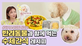 건강한 재료 듬뿍, 반려동물 수제간식 | 경기로운 잡학사전 CHAPTER 3. 반려동물 간식🥯 - kakaoTV 건강한 재료 듬뿍, 반려동물 수제간식... 