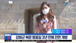[현장 취재] 강화군 북문 벚꽃길 3년 만에 전면 개방 | 일간경기TV 투데이샷 - kakaoTV [현장 취재] 강화군 북문 벚꽃길 3년 만에 전면 개방... 