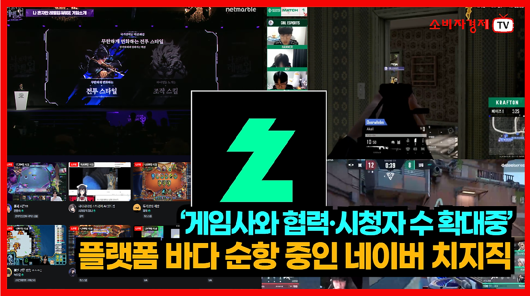 네이버 치지직, 성장 둔화 속 중간 광고 도입…경쟁 속 뒷받침 부족 우려 증폭
