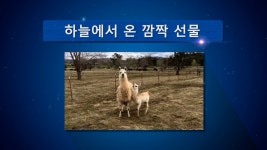 [해외선교지소식] 2022년 3기 6화 하늘에서 온 깜짝 선물 - kakaoTV [해외선교지소식] 2022년 3기 6화 하늘에서 온 깜짝 선물