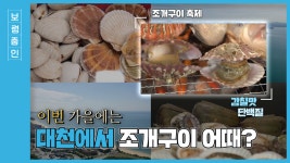 보령줌인ㅣ올가을, 대천에서 조개구이 어때? - kakaoTV 보령줌인ㅣ올가을, 대천에서 조개구이 어때?