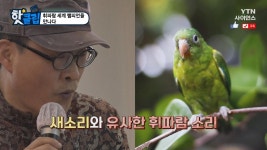 휘파람 세계 챔피언을 만나다 - kakaoTV 휘파람 세계 챔피언을 만나다