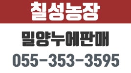 칠성농장,밀양누에판매,밀양동충하초 - kakaoTV 칠성농장,밀양누에판매,밀양동충하초