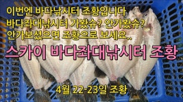 스카이 바다좌대낚시터 4월 23일 조황 - kakaoTV 스카이 바다좌대낚시터 4월 23일 조황