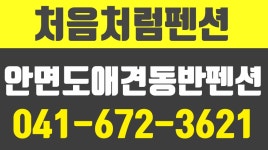 처음처럼펜션,삼봉해수욕장근처펜션,삼봉해수욕장수영장펜션,삼봉해수욕장애견펜션 - kakaoTV 처음처럼펜션,삼봉해수욕장근처펜션... 