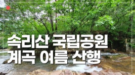 속리산 등산코스 / 속리산 국립공원 / 100대 명산 / 옥녀봉 / 아가봉 / 계곡 산행 / 여름 산행 - kakaoTV 속리산 등산코스 / 속리산 국립공원... 