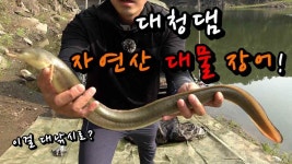 [한무 낚시TV] ep53 - 대낚시로 대물장어를 잡았습니다. / 장어낚시 / 붕어낚시 / 민물장어 - kakaoTV [한무 낚시TV] ep53 - 대낚시로 대물장어를... 